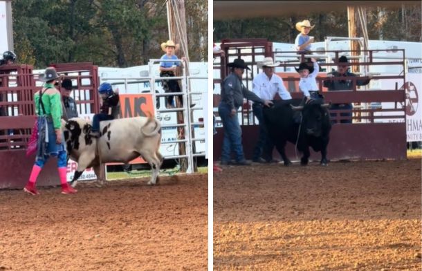 Images show baby cowboys riding rodeo bulls under supervision.