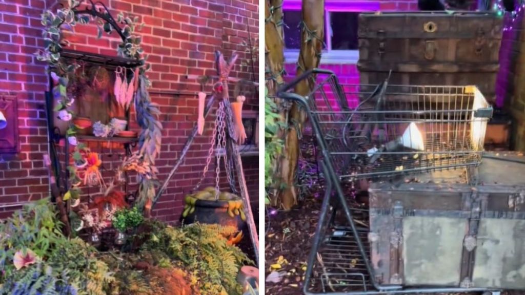 Left image shows a portion of the Herbology classroom. Right image shows a trolley and student trunks.