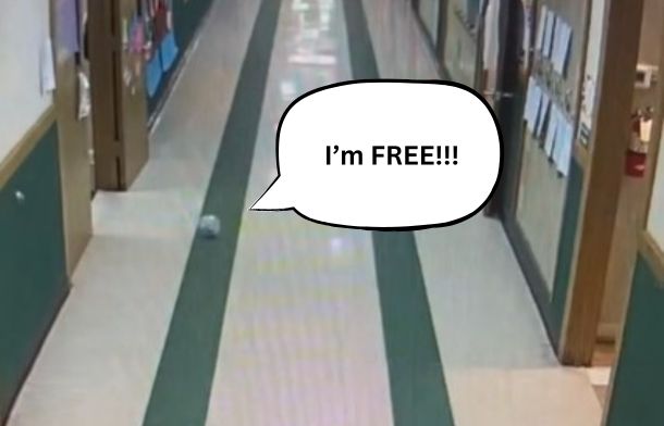 A school hamster escapes the classroom in its exercise ball and takes a tour of the school.