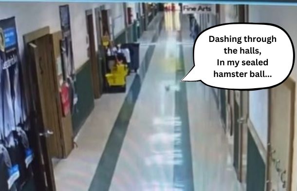 Image shows a school hamster dashing through the halls past a janitor's cart in a clear exercise ball.