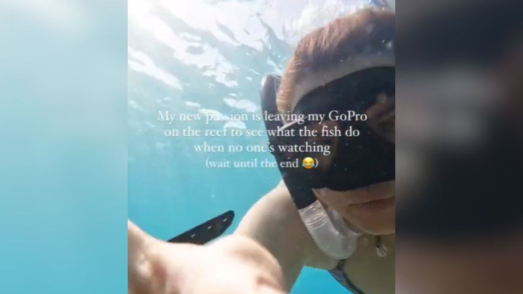 A diver setting down a camera under water.