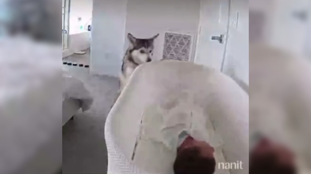 Baby cam footage shows a dog peaking over the edge of a baby's crib. The baby lays on his back, upset