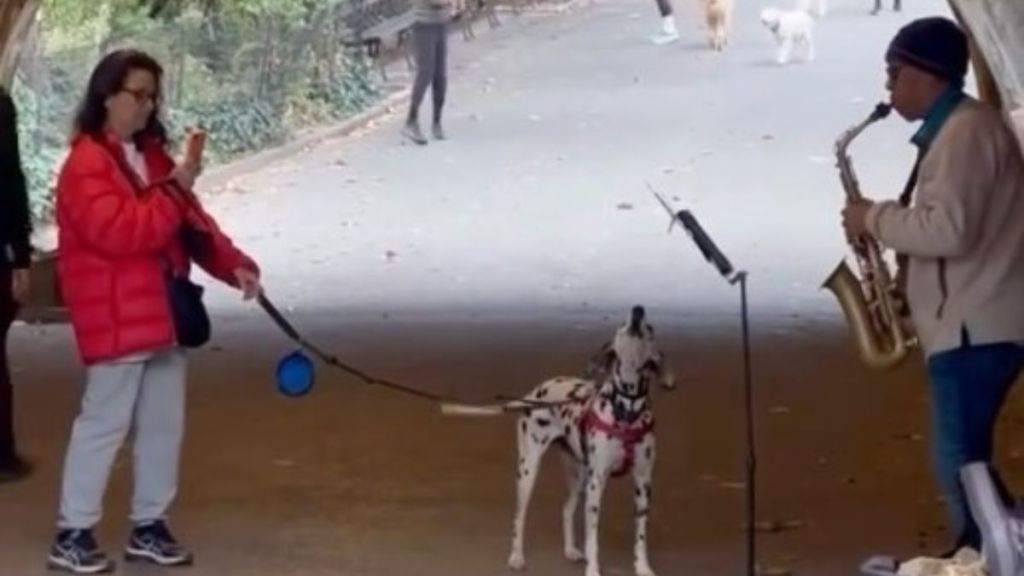 Image shows a saxophone playing busker in NY's Central Park as a dalmatian dog howls to the music.