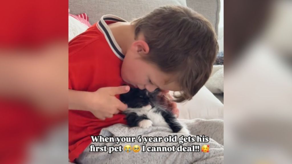 A little boy cuddling a tiny kitten on his lap.