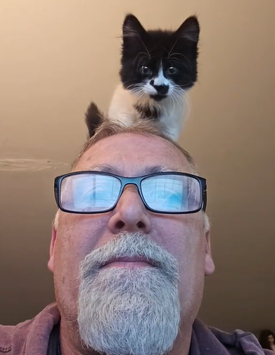 A tiny kitten sitting on top of a man's head.