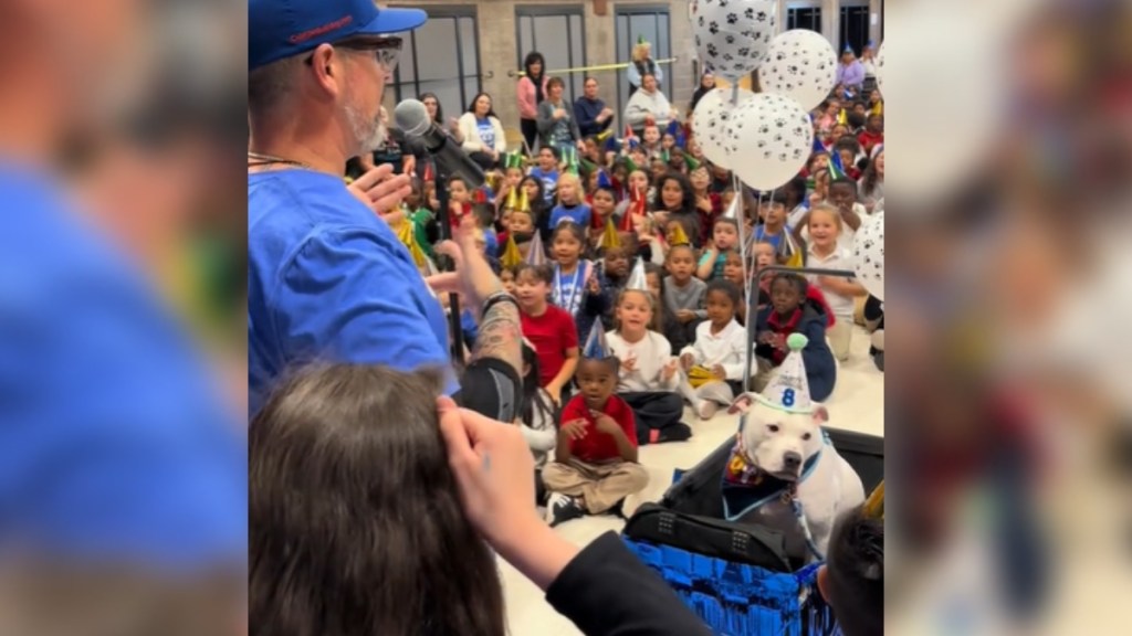 Elementary School Pulls All The Stops To Celebrate Deaf Therapy Dog’s Birthday