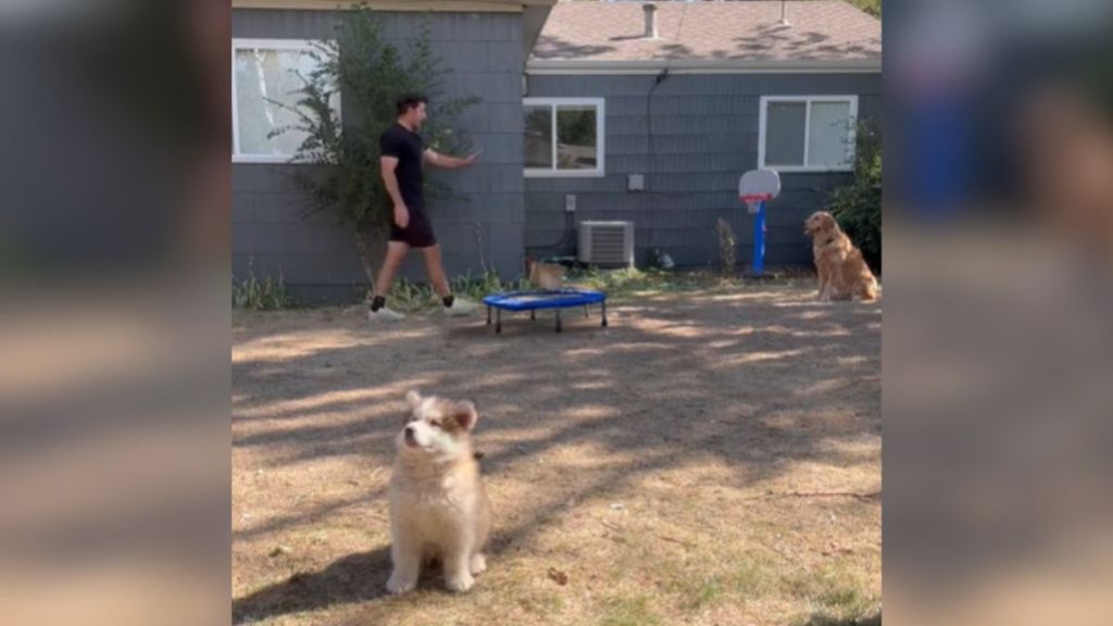 A man holding out his hand and telling his dog to stay.