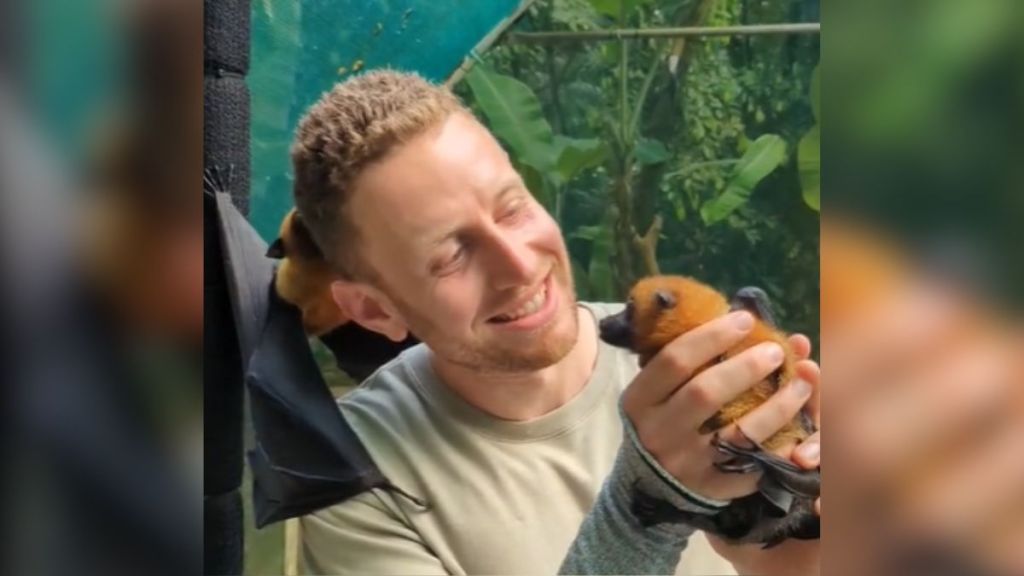 A man holding a flying fox in his hands.