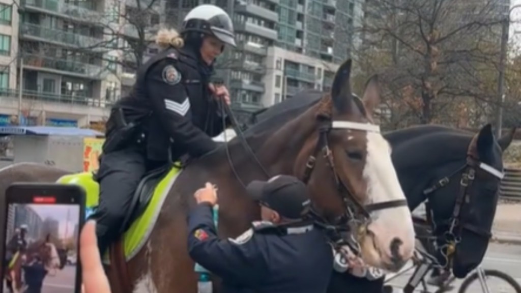Police Horses Accessorize Accordingly For Working Taylor Swift’s Eras Tour
