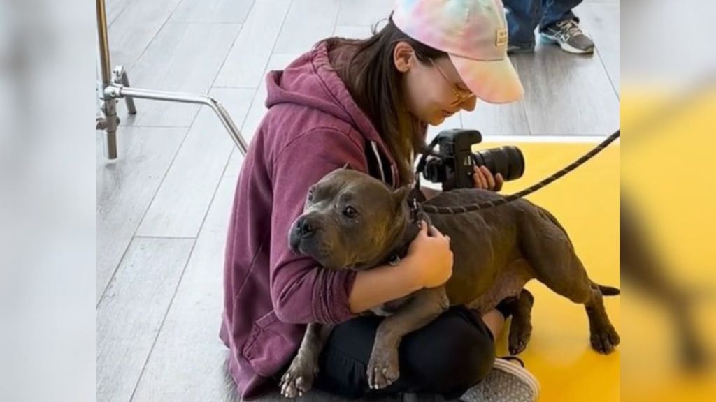 Photographer Shares “The Worst Photos From Our Shelter Photoshoots” Of Dogs