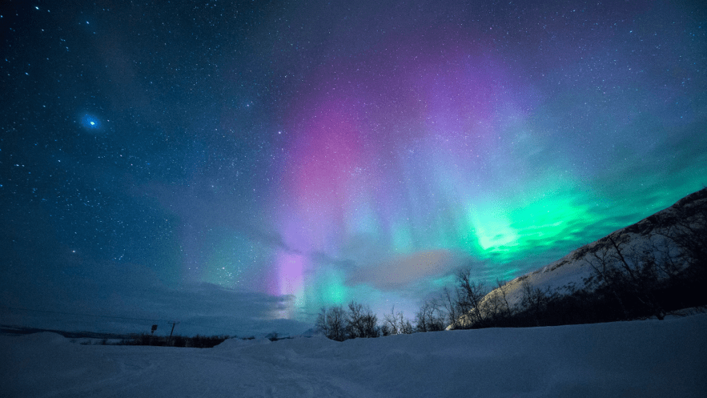 Northern Lights New year