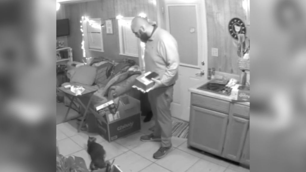 Security camera footage of a man looking at a cat lying on the floor of his home.