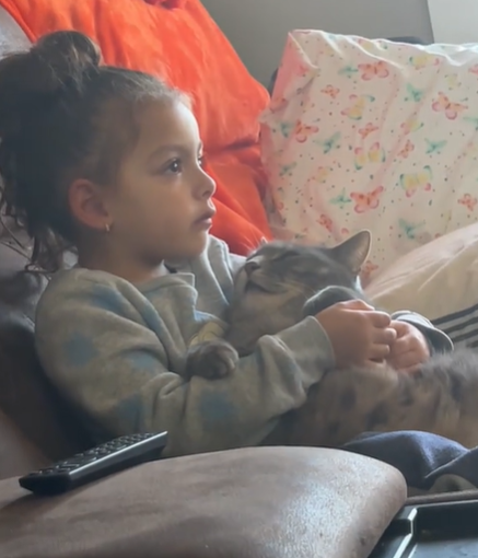 A little girl sitting on the couch with a cat in her lap.