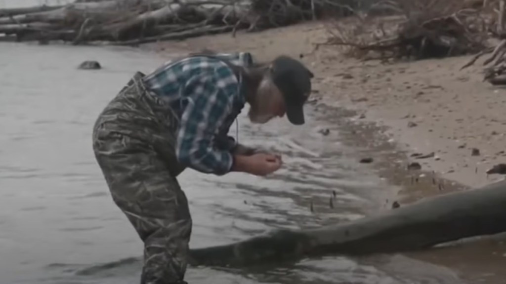 Side-view of a man as he stands in a shallow area of the Chesapeake Bay. He's bending over, looking closely at something in his hands