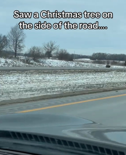 View from inside a moving car. On the other side of the road is a Christmas tree. Text on the image reads: Saw a Christmas tree on the side of the road...