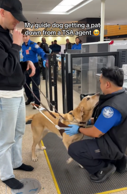 A TSA officer crouching to pat down a man's guide dog.