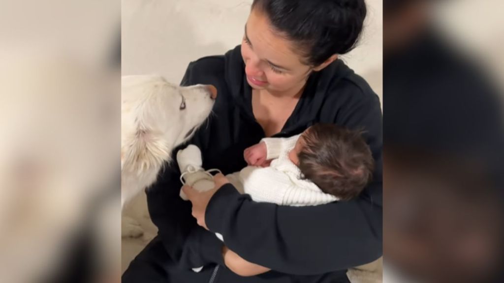 A dog looking at a woman holding a baby in her arms.