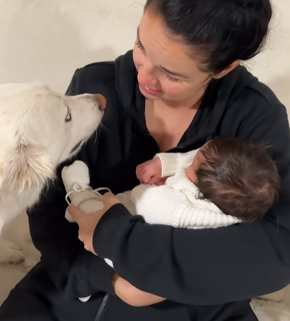 A dog looking at a woman holding a baby in her arms.