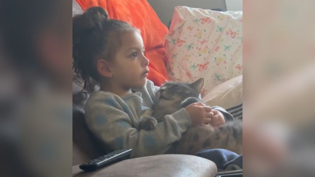 A little girl sitting on the couch with a cat in her lap.