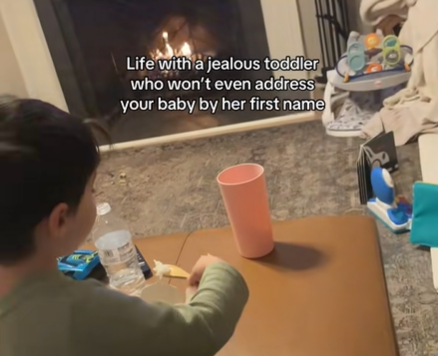 The words "Life with a jealous toddler who won't even address your baby by her first name" over an image of a little boy.