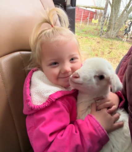 A little girl holding a white lamb in her lap.