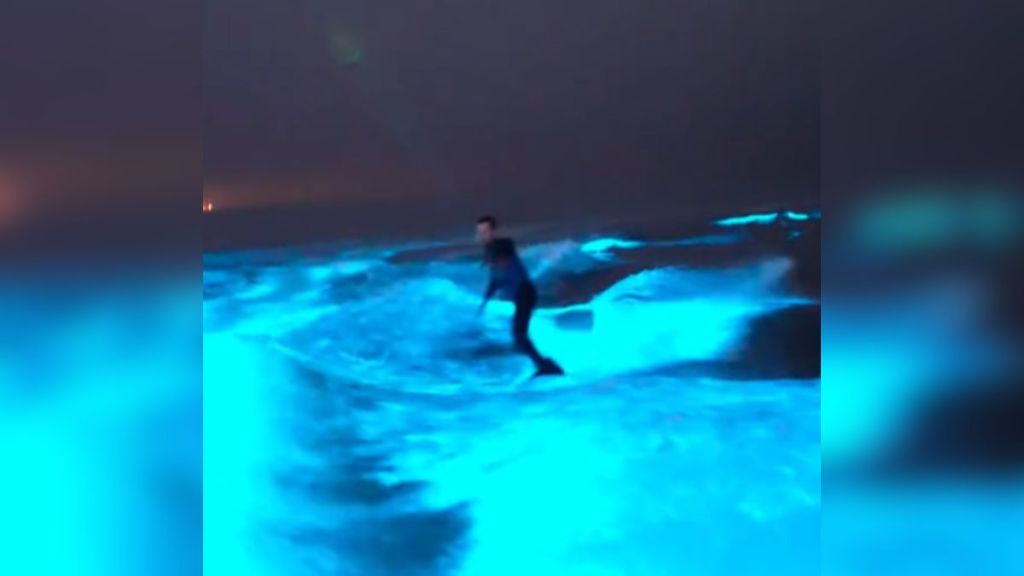A man wakeboarding on bioluminescent water.