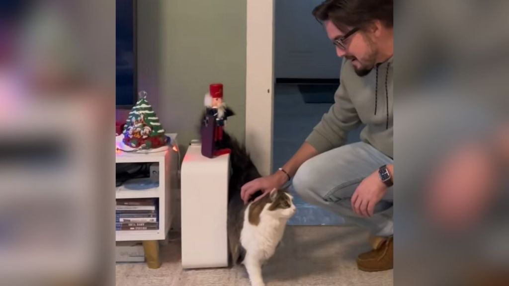 Image shows cat dad Alex singing to his cat Flora to see if she likes the song.