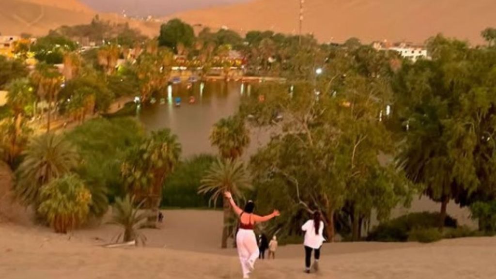Image shows an oasis in the desert that became a funny pun for a vlogger.