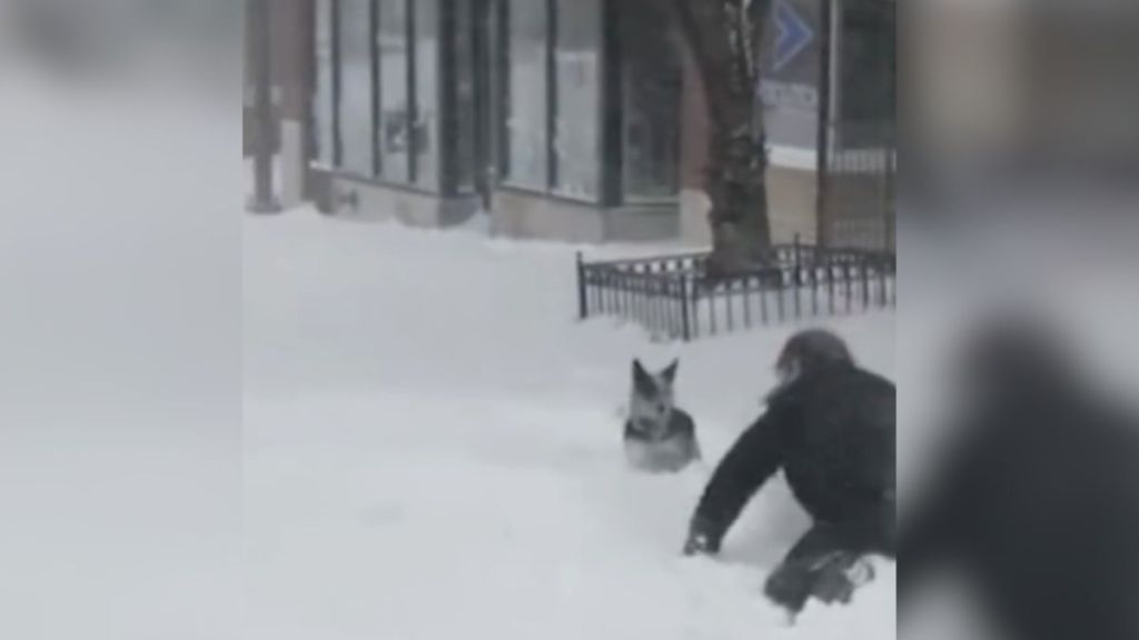 A man on all fours playing with a dog in the snow.