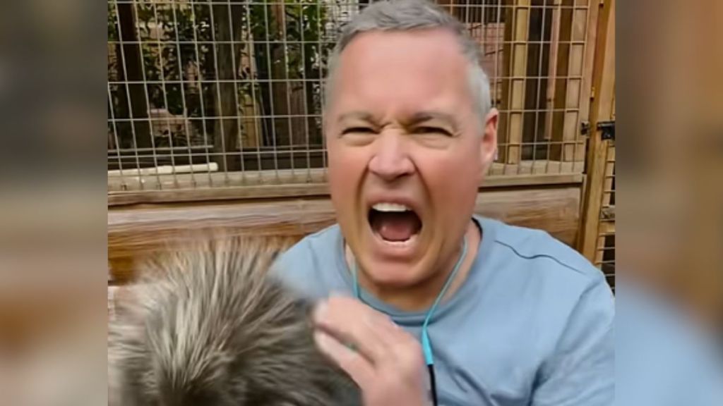 Jeff Corwin making a pained expression while holding an animal.