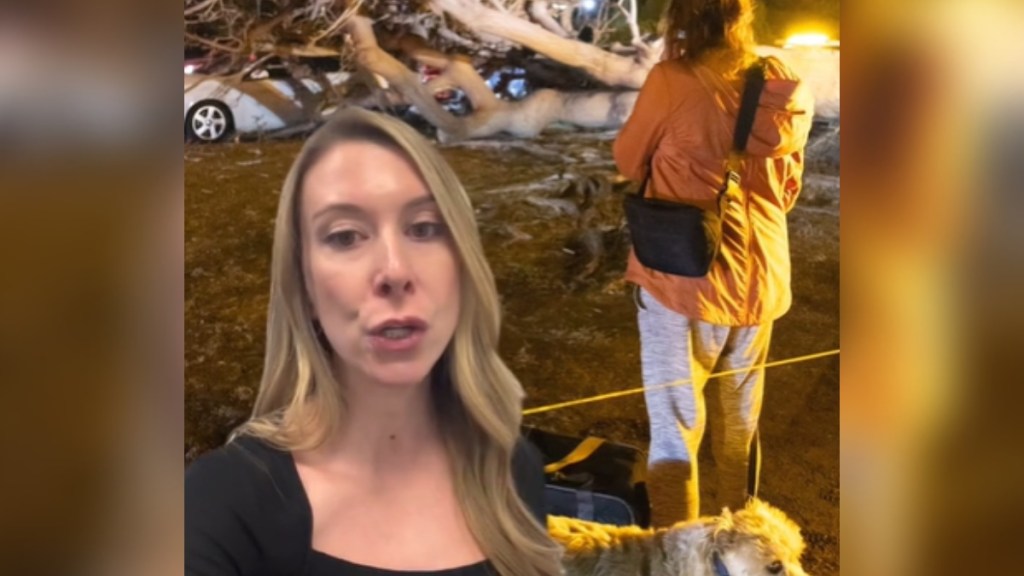 Do You Know What To Do In Case Of A Wildfire Or Other Natural Disaster?