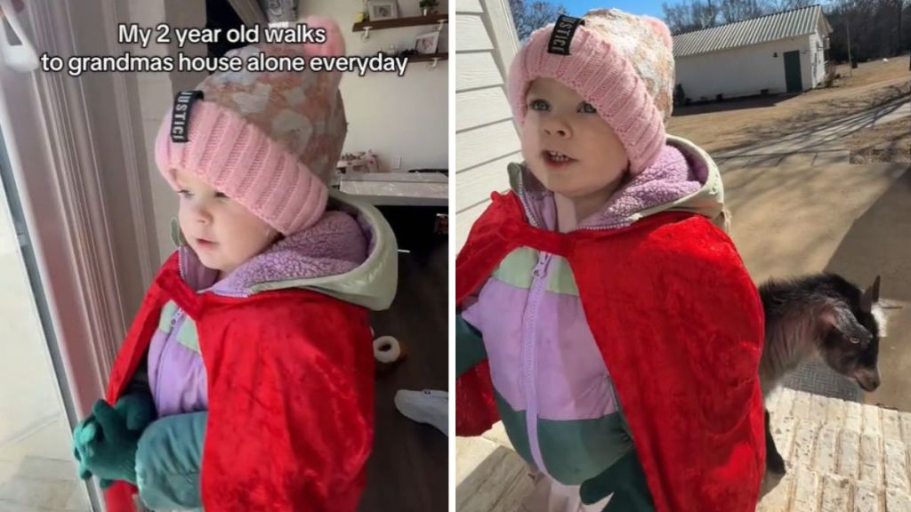 Independent toddler walks to Grandma's house every day by herself (she's never out of Mom's sight).