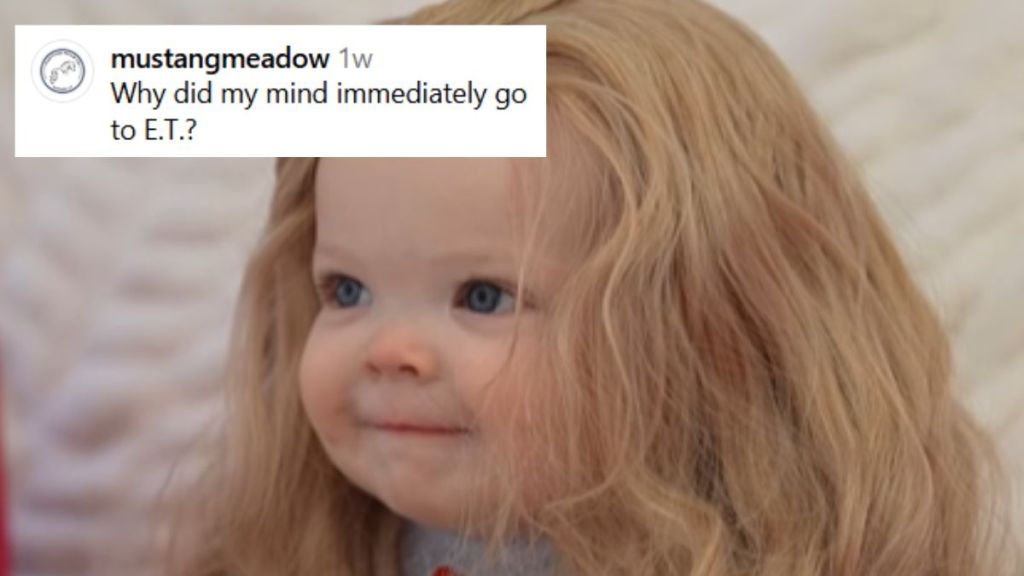 A baby in a wig with a social media comment in the corner.