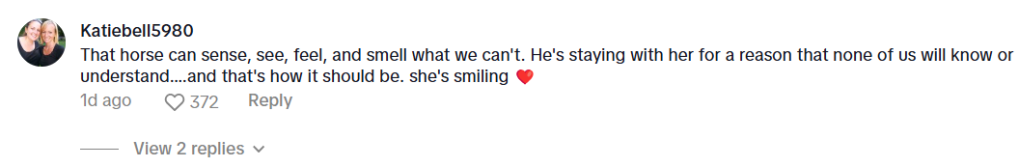 A social media comment about a special moment between a horse and an elderly woman.