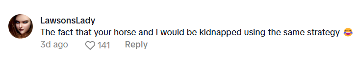 A comment that reads, "The fact that your horse and I would be kidnapped using the same strategy."