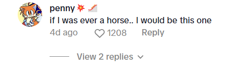 A social media comment that reads, "If I was ever a horse... I would be this one."