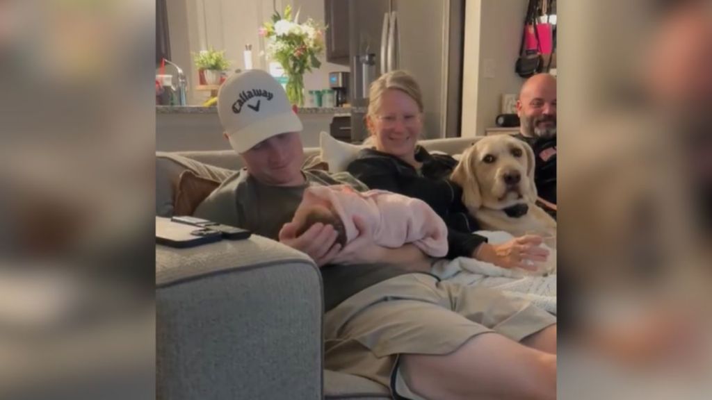 A dog looking forlorn while sitting on the couch with a group of people.