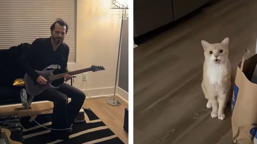 Side-by-side images of a man playing guitar and a cat meowing.