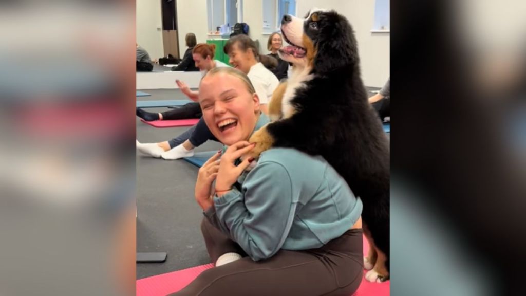 A woman sitting on the ground and laughing while a puppy puts his front paws on her shoulders.