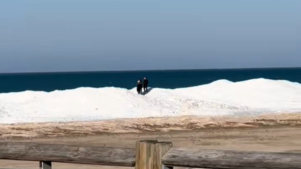 View from a distance of shelf ice that formed on Lake Michigan. Two people stand on the shelf ice, walking around