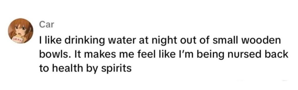 Comment on a social media post by user Car that reads: I like drinking water at night out of small wooden bowls. It makes me feel like I'm being nursed back to health by spirits