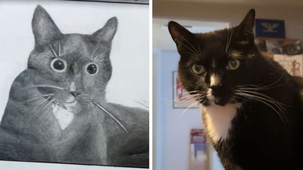 Left image shows a grid drawing of the art teacher's cat Tucker, shown on the right.