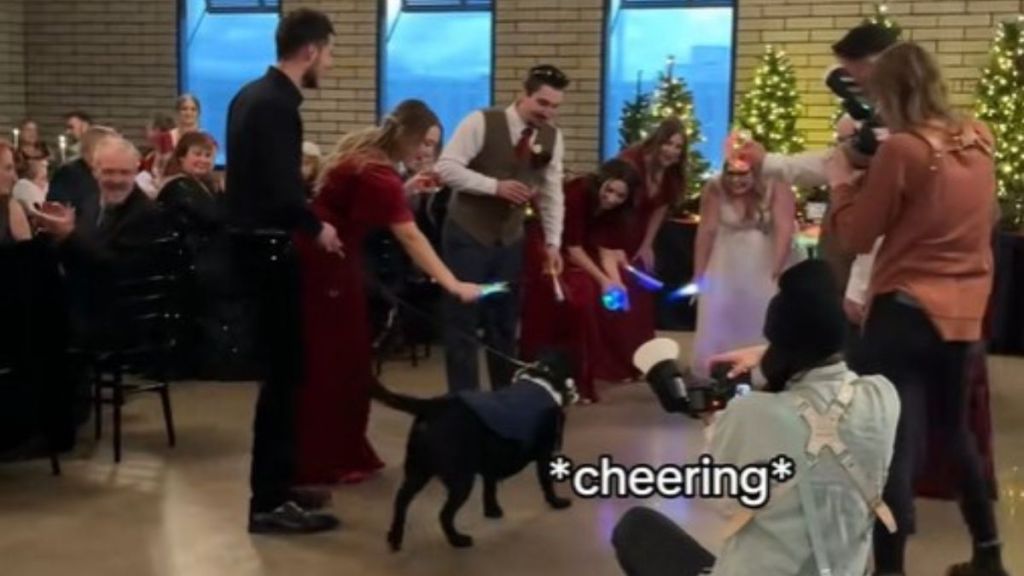 Duke, the couple's dog, makes a DJ-announced wedding entrance to cheering guests.