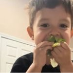 Image shows a kid eating leafy veggies willingly during Dinosaur Time.