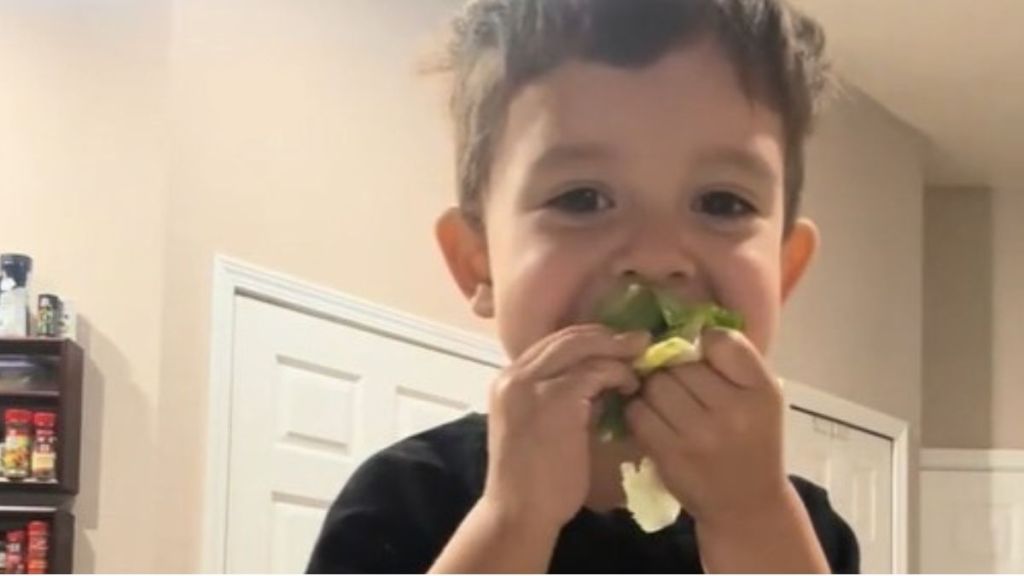 Image shows a kid eating leafy veggies willingly during Dinosaur Time.