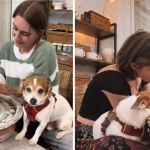 Left image shows a dog keeping a potter company as she spins a clay pot. Right image shows the same dog, bored, resting its head on the water well of the spinning wheel.