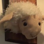 When finding a ripped dog toy, one owner got creative and turned it into a "taxidermied" wall hanging.