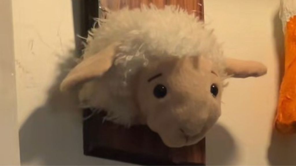 When finding a ripped dog toy, one owner got creative and turned it into a "taxidermied" wall hanging.