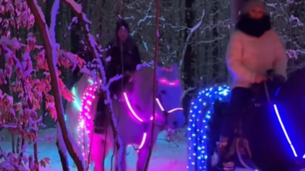 Two people ride horses at night. Each horse is draped in neon lights. The ground and surrounding trees are covered in snow
