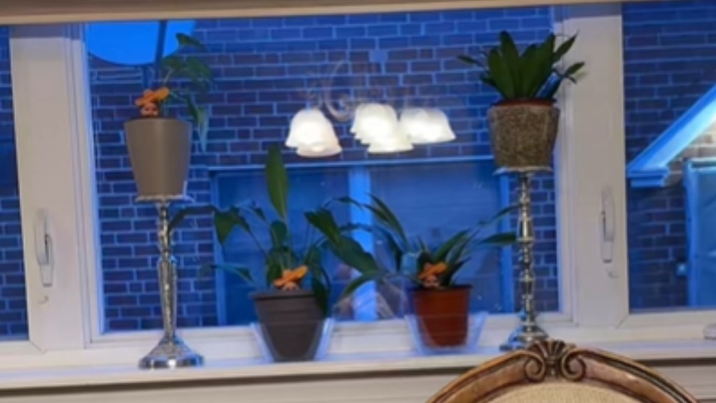 A window sill with four plants on it. These plants all have a small image of something that's difficult to see from this distance